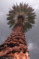 20070224_1218_01-Modificaci_n-3.jpg