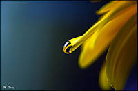 20070523_2847.jpg