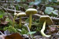 20070922-_MG_1868.jpg