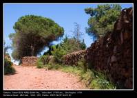 2007_6_4-Segorge-Garbi.jpg