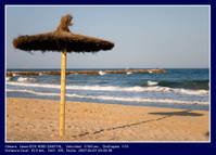 2007_6_7-Pu_ol_playa-Parasol.jpg