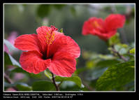 2007_6_9-picaio_hostal-flor.jpg