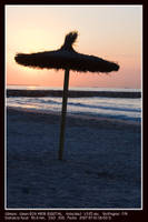 2007_7_1-pu_ol_platja_nit-sombrilla_parasol.jpg