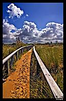 20080519_-_Pasarela_en_el_Palmar.jpg