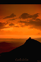 20090331-100_f2.jpg