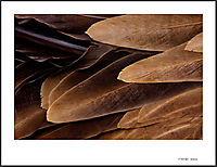 20091011-_MG_8845.jpg