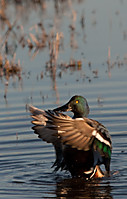 20101204_5184.jpg