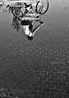 20110508-IMG_0298.jpg