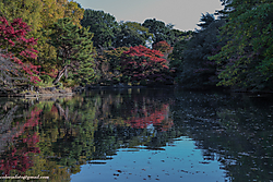 20112013-_P5A0783.JPG