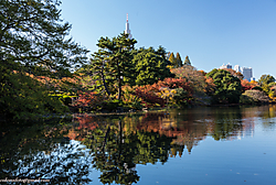 20112013-_P5A0789.JPG