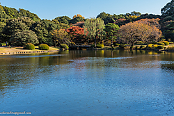 20112013-_P5A0797.JPG