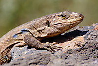 2011_03_25_1999.JPG