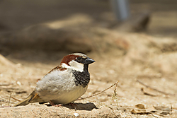 20120507_2320_1.jpg