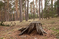 20121_MG_4041.jpg