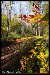 2013-11-14_Santa_Fe_del_Montseny_x21.jpg