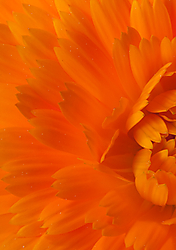 2013_03_26_1336-1.JPG