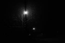 2014_08_03_7966web.jpg