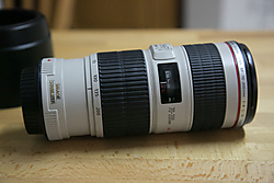 2015_-2T2A7402.jpg