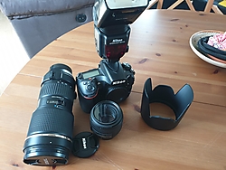20190808_114826 20190808_114826.jpg