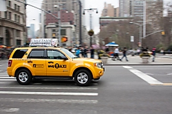 21032012-NEW_YORK_T2-625.JPG