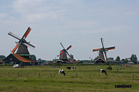 210709_0112_copia.jpg