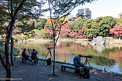 22112013-_P5A1165.JPG