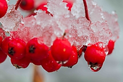 23012013-_MG_5144.JPG