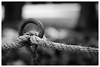 26062010-130.jpg