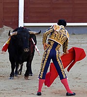 2803_Toros_en_Las_Ventas_0173r.jpg