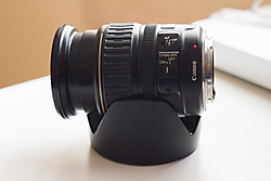28_135-1.jpg