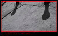 364ca2b03707eaee4ec4646bb7a7014c.jpg