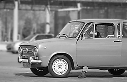 37_coches.jpg