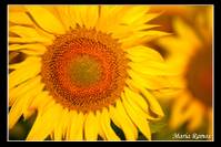 3e84153fae72a36467e6cd631e90fdf7.jpg