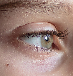 401A7689-2.jpg