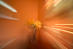 4L1C3138.jpg