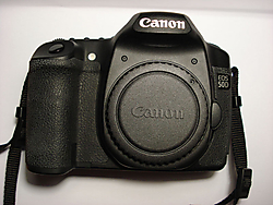 50D_11.JPG