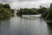 5398_St_James_Park.jpg