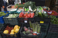 56_Verduras_de_colorines.jpg