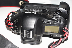 5_MG_6455.JPG