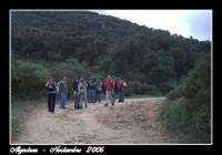 8393ce70d47866cb45bc1bb63cde08f0.jpg