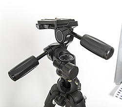 8J1A2096_1b1.jpg