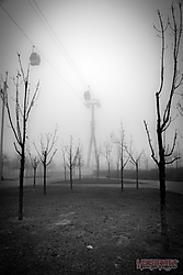 994409_703245576387532_1111104880_n.jpg