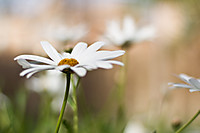 ABRIL_2011_43_copia.jpg