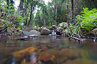 AGUA AGUA3.jpg