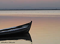 Albufera9.jpg