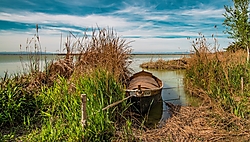 Albufera_Valencia_.jpg