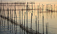 Albufera_versi_n_sin_cielo.jpg