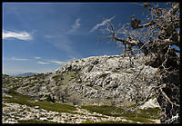 Alma_de_Quejio_DSC3564_--.jpg