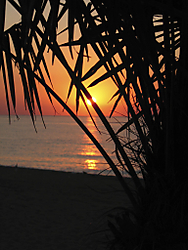 Amanecer53.jpg