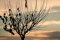 Ana_Albi_03_g16.jpg
